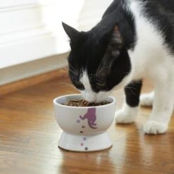 Frisco Cat Print Non-skid Elevated Ceramic Cat Bowl, Short -Pet Cat Store 256096 PT2. AC SS1800 V1616522571