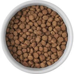 Frisco Cat Print Non-skid Elevated Ceramic Cat Bowl, Short -Pet Cat Store 256096 PT4. AC SS1800 V1616522576