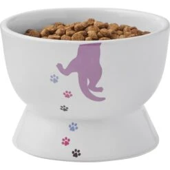 Frisco Cat Print Non-skid Elevated Ceramic Cat Bowl, Short -Pet Cat Store 256096 PT5. AC SS1800 V1616522496