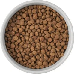 Frisco Cat Print Non-Skid Elevated Ceramic Cat Bowl, Tall -Pet Cat Store 256099 PT4. AC SS1800 V1616522538