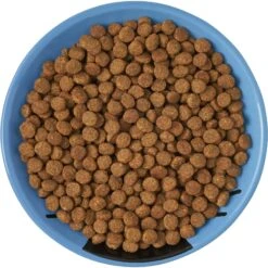 Frisco Cat Face Non-skid Ceramic Cat Dish, Blue -Pet Cat Store 256101 PT5. AC SS1800 V1615321282