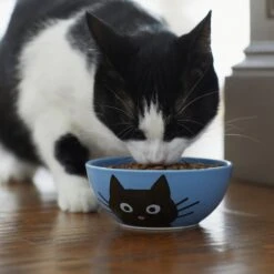 Frisco Cat Face Non-skid Ceramic Cat Bowl, Blue 7 Frisco Cat Face Non-skid Ceramic Cat Bowl, Blue -Pet Cat Store 256103 PT4. AC SS1800 V1617997004