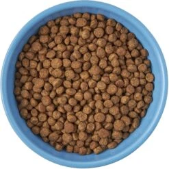 Frisco Cat Face Non-skid Ceramic Cat Bowl, Blue 8 Frisco Cat Face Non-skid Ceramic Cat Bowl, Blue -Pet Cat Store 256103 PT5. AC SS1800 V1615312900