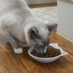 Frisco Cat Face Non-skid Ceramic Cat Dish -Pet Cat Store 256105 PT2. AC SS1800 V1615310882