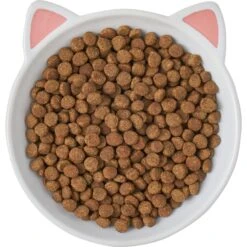 Frisco Cat Face Non-skid Ceramic Cat Dish -Pet Cat Store 256105 PT5. AC SS1800 V1615321295
