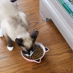 Frisco Cat Face Non-skid Ceramic Cat Bowl, Pink -Pet Cat Store 256107 PT2. AC SS1800 V1616522589