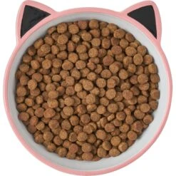 Frisco Cat Face Non-skid Ceramic Cat Bowl, Pink -Pet Cat Store 256107 PT5. AC SS1800 V1616522494