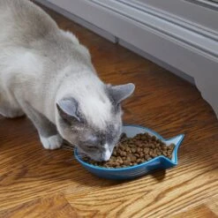 Frisco Fish Shaped Non-skid Ceramic Cat Dish -Pet Cat Store 256109 PT3. AC SS1800 V1617196297