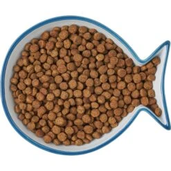 Frisco Fish Shaped Non-skid Ceramic Cat Dish -Pet Cat Store 256109 PT6. AC SS1800 V1617196895