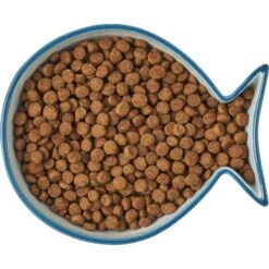 Frisco Fish Shaped Non-skid Ceramic Cat Bowl -Pet Cat Store 256111 PT5. AC SS1800 V1616522555