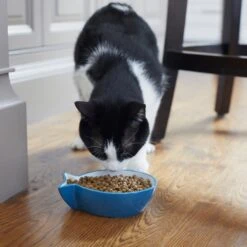 Frisco Fish Shaped Non-skid Ceramic Cat Bowl -Pet Cat Store 256111 PT6. AC SS1800 V1617037703