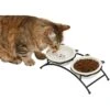 Frisco Cat Face Non-skid Elevated Double Ceramic Cat Bowl 2 Frisco Cat Face Non-skid Elevated Double Ceramic Cat Bowl -Pet Cat Store 256113 MAIN. AC SS1800 V1616522219