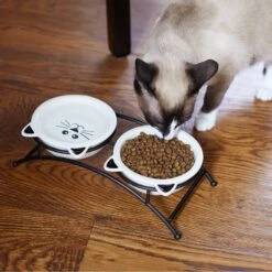 Frisco Cat Face Non-skid Elevated Double Ceramic Cat Bowl -Pet Cat Store 256113 PT2. AC SS1800 V1616522604