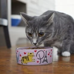 Frisco Paris Non-skid Ceramic Cat Dish -Pet Cat Store 256117 PT2. AC SS1800 V1615311397