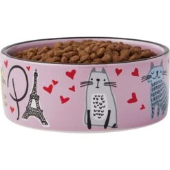 Frisco Paris Non-skid Ceramic Cat Dish -Pet Cat Store 256117 PT3. AC SS1800 V1615311168