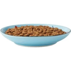 Frisco New York Non-skid Ceramic Cat Dish -Pet Cat Store 256119 PT5. AC SS1800 V1618494742