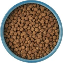 Frisco New York Non-skid Ceramic Cat Bowl 13 Frisco New York Non-skid Ceramic Cat Bowl -Pet Cat Store 256121 PT5. AC SS1800 V1615311387