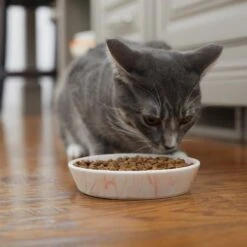 Frisco Marble Design Non-skid Ceramic Cat Bowl -Pet Cat Store 256125 PT6. AC SS1800 V1617037714