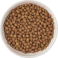 Frisco Marble Design Non-skid Ceramic Cat Dish -Pet Cat Store 256127 PT5. AC SS1800 V1615321285