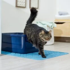 Frisco Quilted Cat Litter Mat 10 Frisco Quilted Cat Litter Mat -Pet Cat Store 258210 PT3. AC SS1800 V1675279933