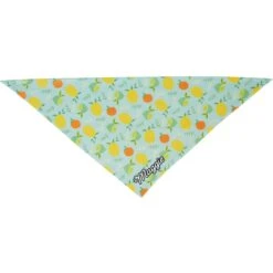 Frisco Citrus Personalized Dog & Cat Bandana 14 Frisco Citrus Personalized Dog & Cat Bandana -Pet Cat Store 258758 PT3. AC SS1800 V1619559797