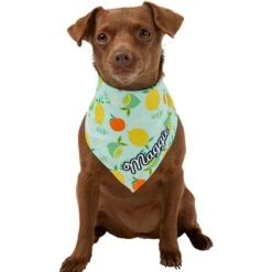 Frisco Citrus Personalized Dog & Cat Bandana 17 Frisco Citrus Personalized Dog & Cat Bandana -Pet Cat Store 258758 PT6. AC SS1800 V1619560354