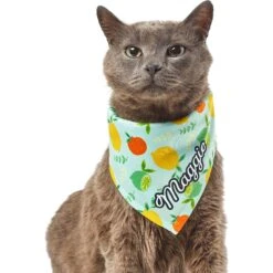 Frisco Citrus Personalized Dog & Cat Bandana 18 Frisco Citrus Personalized Dog & Cat Bandana -Pet Cat Store 258758 PT7. AC SS1800 V1619560408