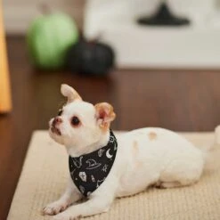 Frisco Glow In The Dark Mystical Print Dog & Cat Bandana -Pet Cat Store 261218 PT5. AC SS1800 V1633057869