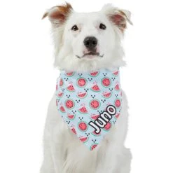 Frisco Watermelons Personalized Dog & Cat Bandana 17 Frisco Watermelons Personalized Dog & Cat Bandana -Pet Cat Store 267458 PT6. AC SS1800 V1632432415