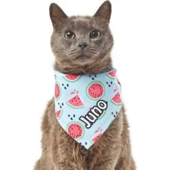 Frisco Watermelons Personalized Dog & Cat Bandana 18 Frisco Watermelons Personalized Dog & Cat Bandana -Pet Cat Store 267458 PT7. AC SS1800 V1632432684