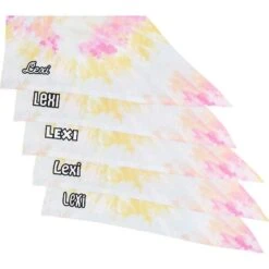 Frisco Tiedye Personalized Dog & Cat Bandana 15 Frisco Tiedye Personalized Dog & Cat Bandana -Pet Cat Store 267482 PT4. AC SS1800 V1632416499