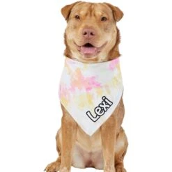 Frisco Tiedye Personalized Dog & Cat Bandana 17 Frisco Tiedye Personalized Dog & Cat Bandana -Pet Cat Store 267482 PT6. AC SS1800 V1632428490