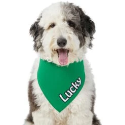 Frisco Solid Color Personalized Dog & Cat Bandana -Pet Cat Store 267489 PT6. AC SS1800 V1632418582