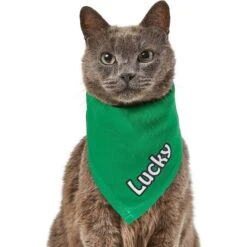 Frisco Solid Color Personalized Dog & Cat Bandana -Pet Cat Store 267489 PT7. AC SS1800 V1632431774