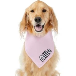 Frisco Solid Pastel Personalized Dog & Cat Bandana 17 Frisco Solid Pastel Personalized Dog & Cat Bandana -Pet Cat Store 267514 PT6. AC SS1800 V1632417387