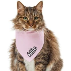 Frisco Solid Pastel Personalized Dog & Cat Bandana 18 Frisco Solid Pastel Personalized Dog & Cat Bandana -Pet Cat Store 267514 PT7. AC SS1800 V1632434472