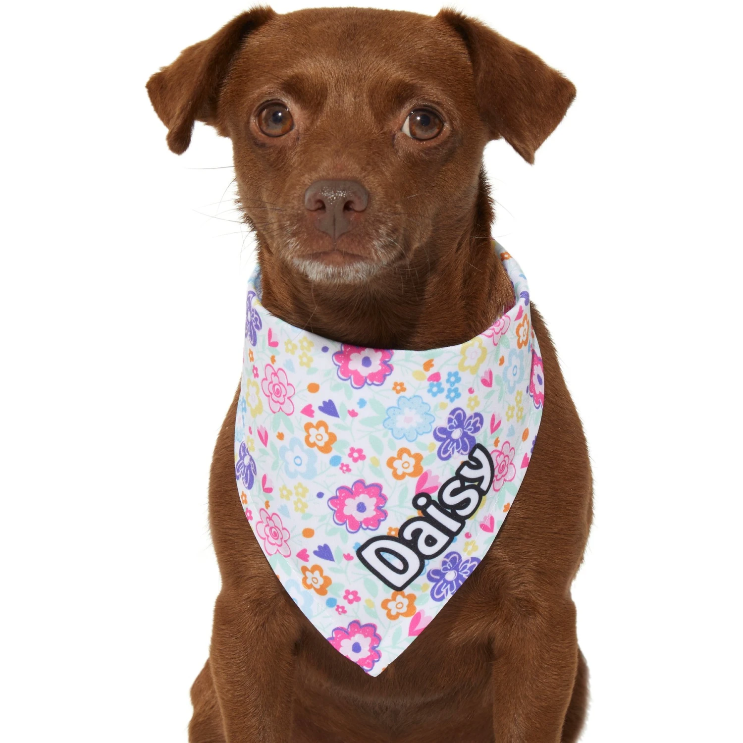 Frisco Bright Floral Personalized Dog & Cat Bandana 9 Frisco Bright Floral Personalized Dog & Cat Bandana - Image 7