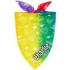 Frisco Rainbow Hearts Personalized Dog & Cat Bandana -Pet Cat Store 267539 MAIN. AC SS1800 V1632683779