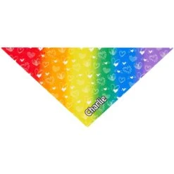 Frisco Rainbow Hearts Personalized Dog & Cat Bandana 13 Frisco Rainbow Hearts Personalized Dog & Cat Bandana -Pet Cat Store 267539 PT2. AC SS1800 V1632687993