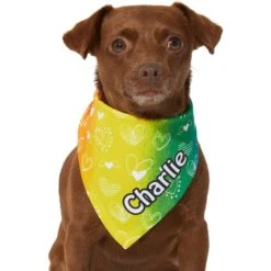 Frisco Rainbow Hearts Personalized Dog & Cat Bandana 16 Frisco Rainbow Hearts Personalized Dog & Cat Bandana -Pet Cat Store 267539 PT5. AC SS1800 V1632432071