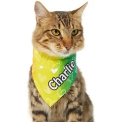 Frisco Rainbow Hearts Personalized Dog & Cat Bandana 17 Frisco Rainbow Hearts Personalized Dog & Cat Bandana -Pet Cat Store 267539 PT6. AC SS1800 V1632420703