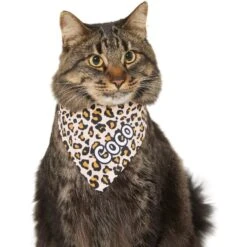 Frisco Leopard Print Personalized Dog & Cat Bandana 17 Frisco Leopard Print Personalized Dog & Cat Bandana -Pet Cat Store 267543 PT8. AC SS1800 V1623164342