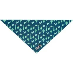 Frisco Cactus Personalized Dog & Cat Bandana -Pet Cat Store 267551 PT3. AC SS1800 V1623093806