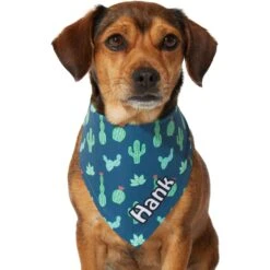 Frisco Cactus Personalized Dog & Cat Bandana -Pet Cat Store 267551 PT7. AC SS1800 V1623164614