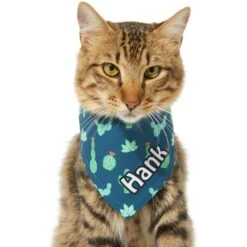 Frisco Cactus Personalized Dog & Cat Bandana -Pet Cat Store 267551 PT8. AC SS1800 V1623164657