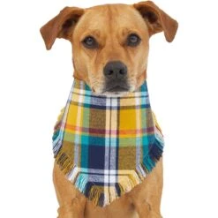 Frisco Blue/Yellow Plaid Dog & Cat Flannel Bandana -Pet Cat Store 267901 PT2. AC SS1800 V1637717796