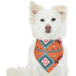 Frisco Southwest Dog & Cat Bandana 12 Frisco Southwest Dog & Cat Bandana -Pet Cat Store 267904 PT2. AC SS1800 V1637708793