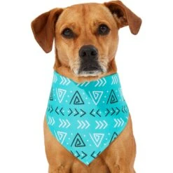 Frisco Geometric Dog & Cat Bandana -Pet Cat Store 267907 PT2. AC SS1800 V1637653589