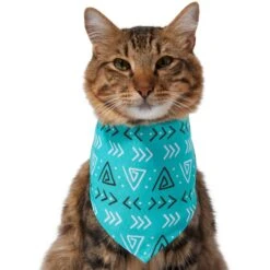 Frisco Geometric Dog & Cat Bandana -Pet Cat Store 267907 PT3. AC SS1800 V1637678544