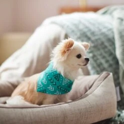 Frisco Geometric Dog & Cat Bandana -Pet Cat Store 267907 PT5. AC SS1800 V1637652153